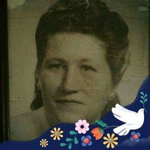 Meet your Posher, Amanda bowman